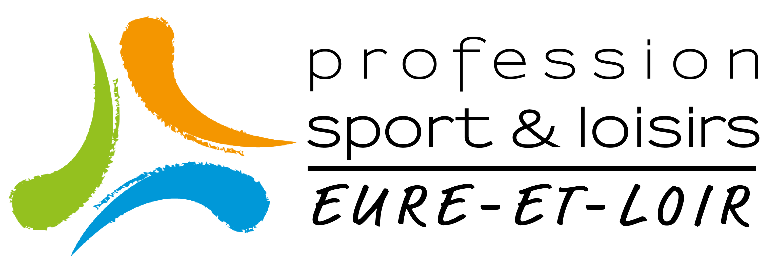 Logo de Profession Sport Animation Jeunesse – PSL28